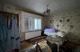 Casa cu etaj 200 mp + 40 de ari teren intravilan In Botiz strada principala 