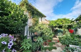 Casa stil boem, cu dependinte , 6 camere,   zona-M17