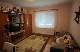 Casa de vanzare ,  240mp utili , doua fronturi , Zona Piata de Vechituri