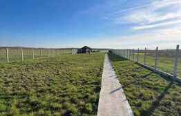 Teren cu Potențial și Facilități , 1000.00 mp în Cionchesti