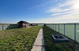 Teren cu Potențial și Facilități , 1000.00 mp în Cionchesti