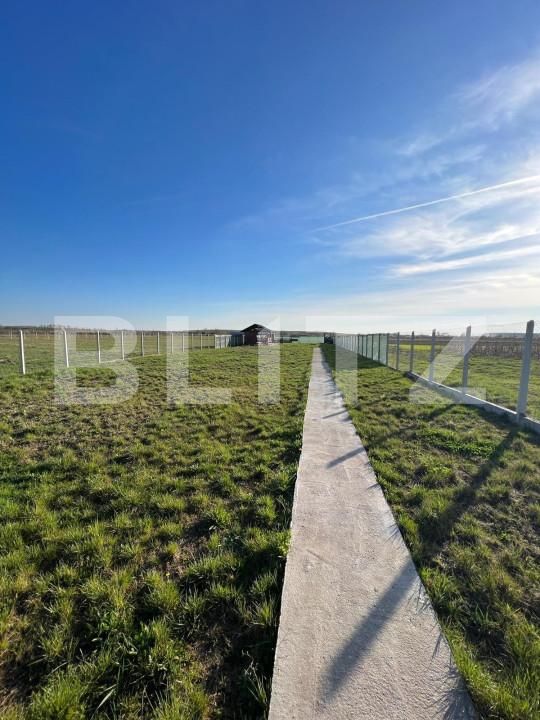 Teren de vânzare Sud-Est - 139806TV | BLITZ Satu Mare | Poza1