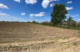 Teren 700mp, zona strada Careiului