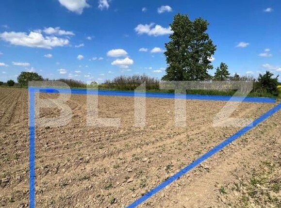 Teren de vânzare Vest - 139809TV | BLITZ Satu Mare | Poza2