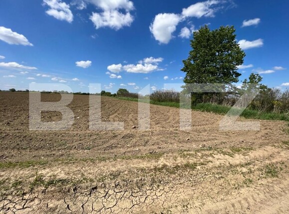 Teren de vânzare Vest - 139809TV | BLITZ Satu Mare | Poza1