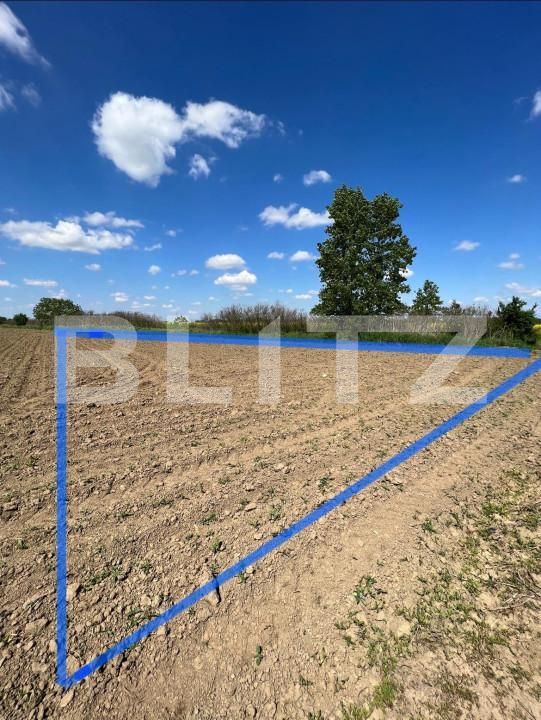 Teren de vânzare Vest - 139809TV | BLITZ Satu Mare | Poza2