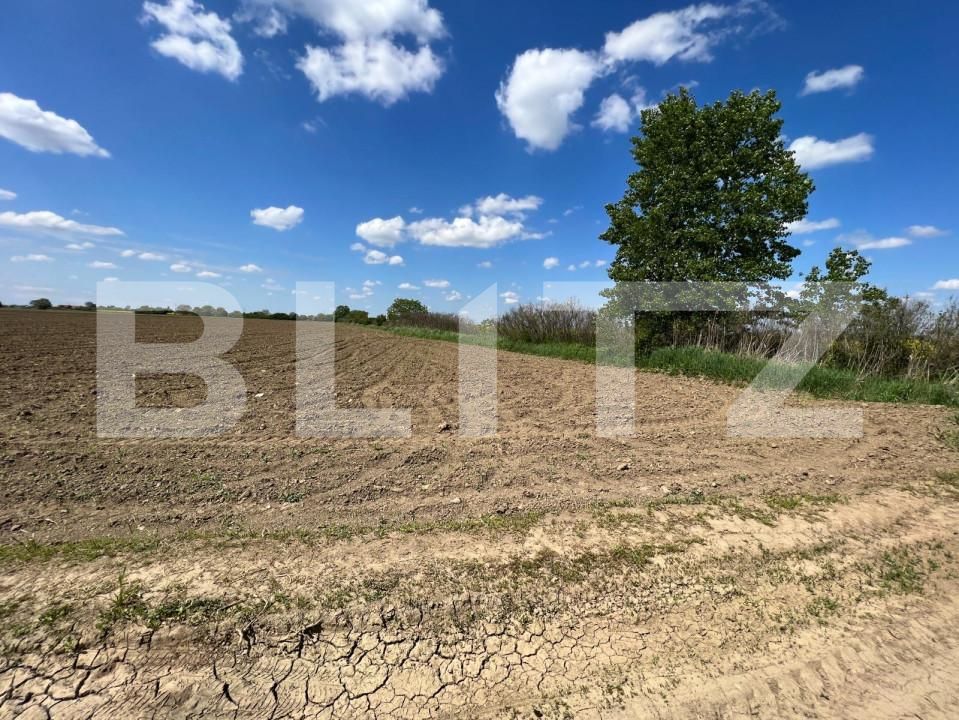 Teren de vânzare Vest - 139809TV | BLITZ Satu Mare | Poza1