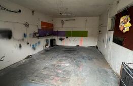  Boxe de Lucru pentru Mecanică Auto sau Vopsitorie Auto în Berindan