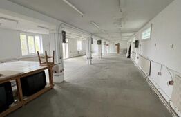 Spațiu Comercial cu Destinație Industrială