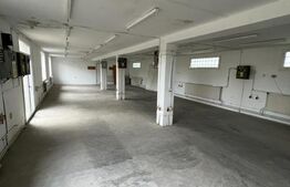 Spațiu Comercial cu Destinație Industrială