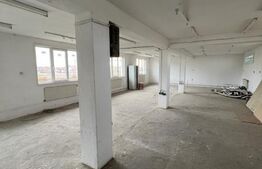 Spațiu Comercial cu Destinație Industrială