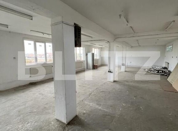 Spațiu industrial de închiriat Est - 139811SII | BLITZ Satu Mare | Poza2