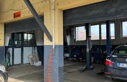 Afacere la Cheie și Casă de Locuit 400 mp Cartierul Carpați 2