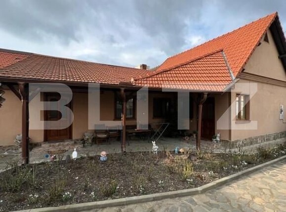 Spațiu industrial de vânzare Carpati 2 - 139813SVI | BLITZ Satu Mare | Poza1