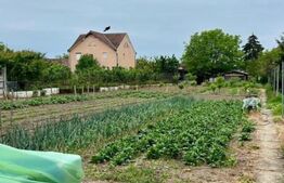 Teren zona Sora Novac