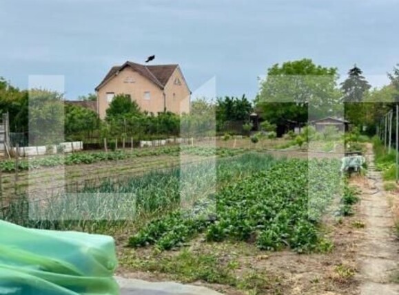 Teren de vânzare Semicentral - 139814TV | BLITZ Satu Mare | Poza1