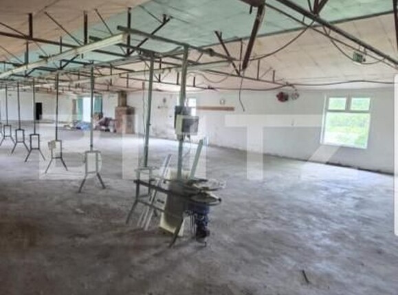 Spațiu industrial de închiriat Exterior Est - 139816SII | BLITZ Satu Mare | Poza2