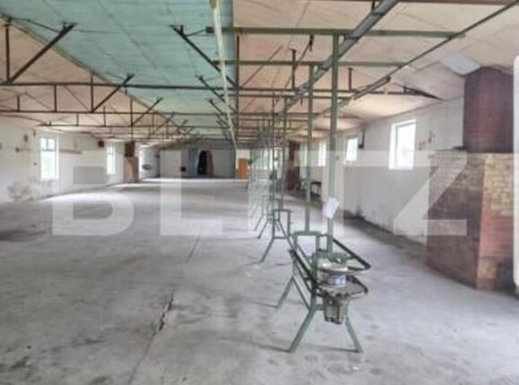 Spațiu industrial de închiriat Exterior Est - 139816SII | BLITZ Satu Mare | Poza1