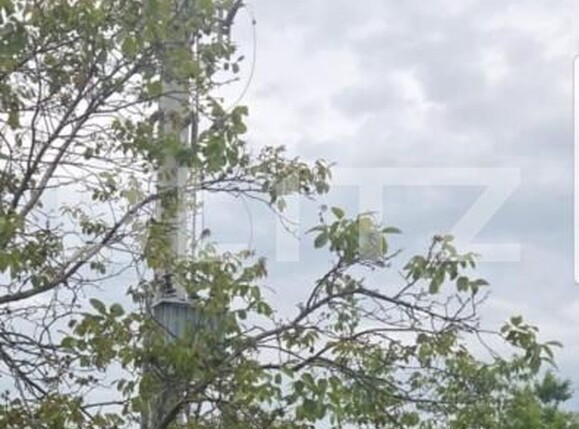 Spațiu industrial de închiriat Exterior Est - 139816SII | BLITZ Satu Mare | Poza5