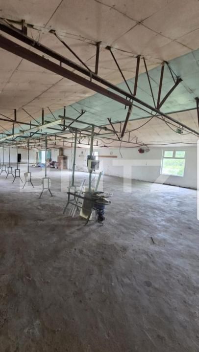 Spațiu industrial de închiriat Exterior Est - 139816SII | BLITZ Satu Mare | Poza2