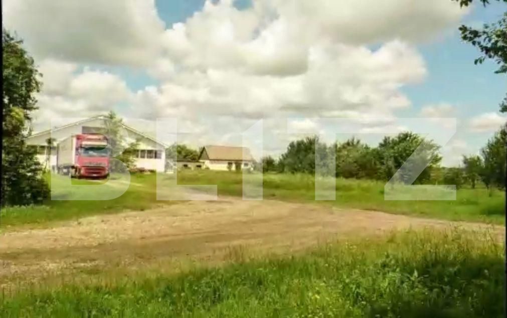 Spațiu industrial de închiriat Exterior Est - 139816SII | BLITZ Satu Mare | Poza4