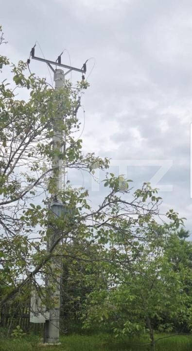 Spațiu industrial de închiriat Exterior Est - 139816SII | BLITZ Satu Mare | Poza5