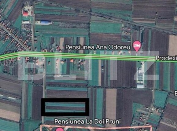 Teren de vânzare Est - 139817TV | BLITZ Satu Mare | Poza1