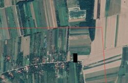 Teren Intravilan în Viile Satu Mare