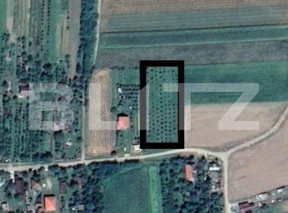 Teren de vânzare Sud-Est - 139818TV | BLITZ Satu Mare | Poza1