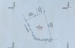 Teren extravilan 2000 mp, zona Balta Blonda 