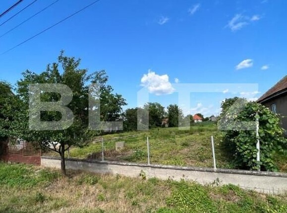 Teren de vânzare Exterior Nord - 139821TV | BLITZ Satu Mare | Poza2