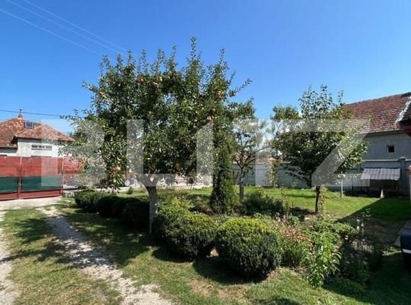 Casa de vânzare 2 camere Nord - 139826CV | BLITZ Satu Mare | Poza7