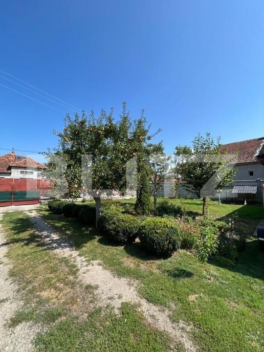 Casa de vânzare 2 camere Nord - 139826CV | BLITZ Satu Mare | Poza7