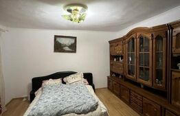 2 CASE, 300mp/700mp, teren 30 ari, zona strada Botizului