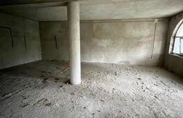 2 CASE, 300mp/700mp, teren 30 ari, zona strada Botizului