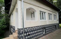 2 CASE, 300mp/700mp, teren 30 ari, zona strada Botizului