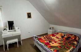 2 CASE, 300mp/700mp, teren 30 ari, zona strada Botizului