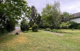 2 CASE, 300mp/700mp, teren 30 ari, zona strada Botizului