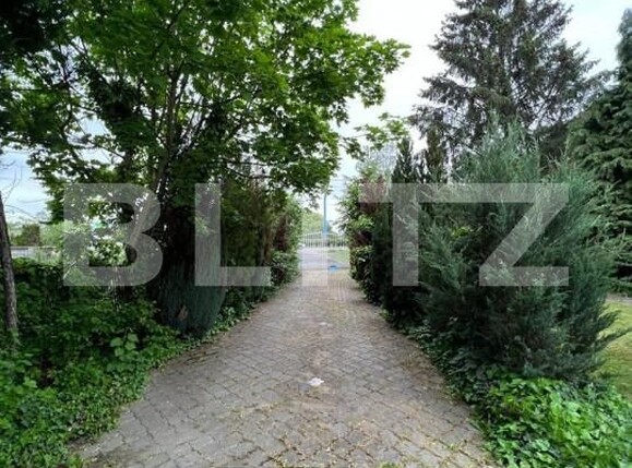 Casa de vânzare 13 camere Botizului - 139832CV | BLITZ Satu Mare | Poza18