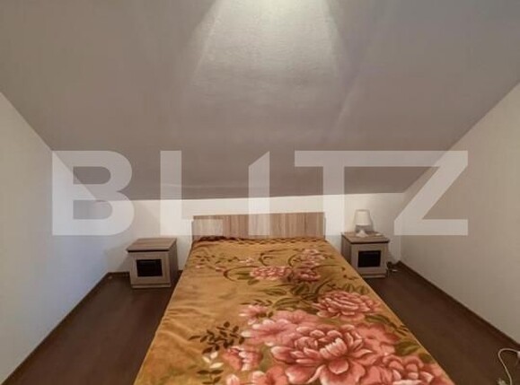 Casa de vânzare 13 camere Botizului - 139832CV | BLITZ Satu Mare | Poza13
