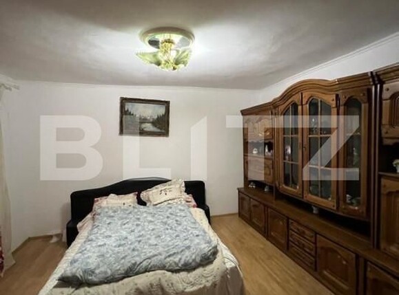 Casa de vânzare 13 camere Botizului - 139832CV | BLITZ Satu Mare | Poza2