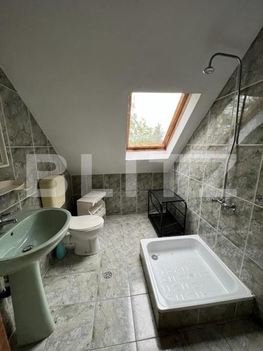 Casa de vânzare 13 camere Botizului - 139832CV | BLITZ Satu Mare | Poza8