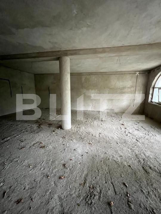 Casa de vânzare 13 camere Botizului - 139832CV | BLITZ Satu Mare | Poza10