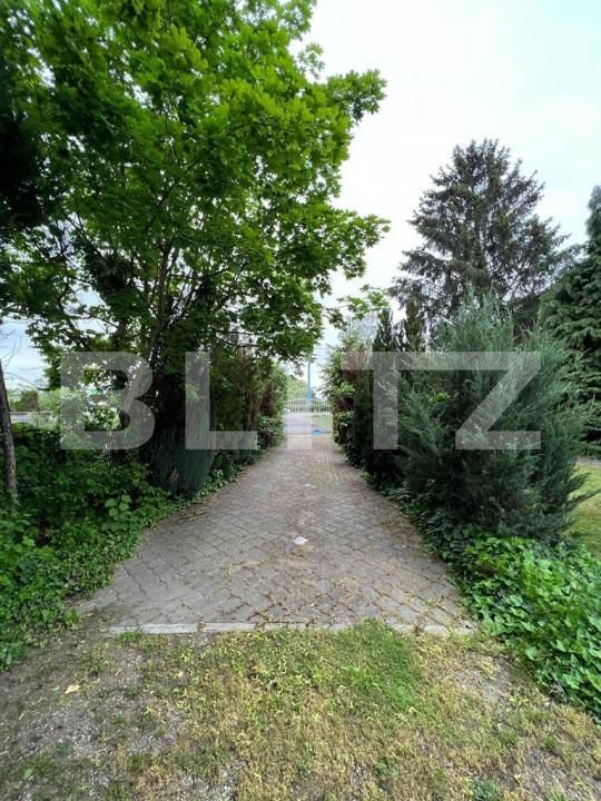 Casa de vânzare 13 camere Botizului - 139832CV | BLITZ Satu Mare | Poza18