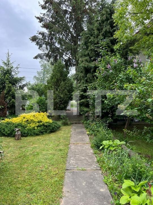 Casa de vânzare 13 camere Botizului - 139832CV | BLITZ Satu Mare | Poza17