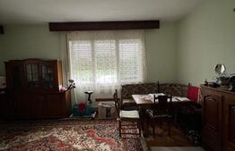 Casa 274 mp, teren 443 mp, zona centru LIVADA, pretabila si ptr uz comercial 