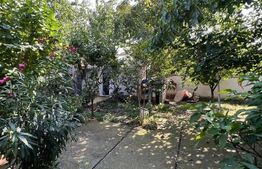 Casă pe strada Corvinilor cu trei apartamente