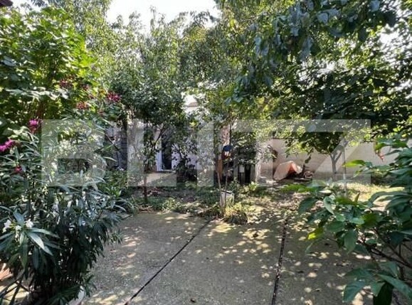 Casa de vânzare 5 camere Semicentral - 139840CV | BLITZ Satu Mare | Poza16