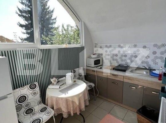 Casa de vânzare 5 camere Semicentral - 139840CV | BLITZ Satu Mare | Poza9