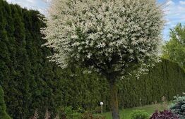 Vilă la Lac în Zona Apa - Oază de Confort și Eleganță